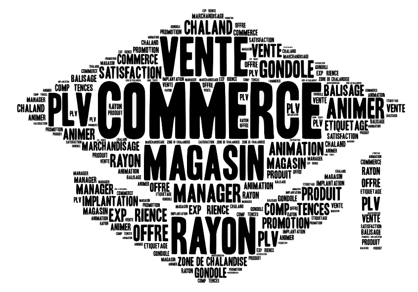 BAC PRO MÉTIERS DU COMMERCE ET DE LA VENTE OPTION ANIMATION ET GESTION