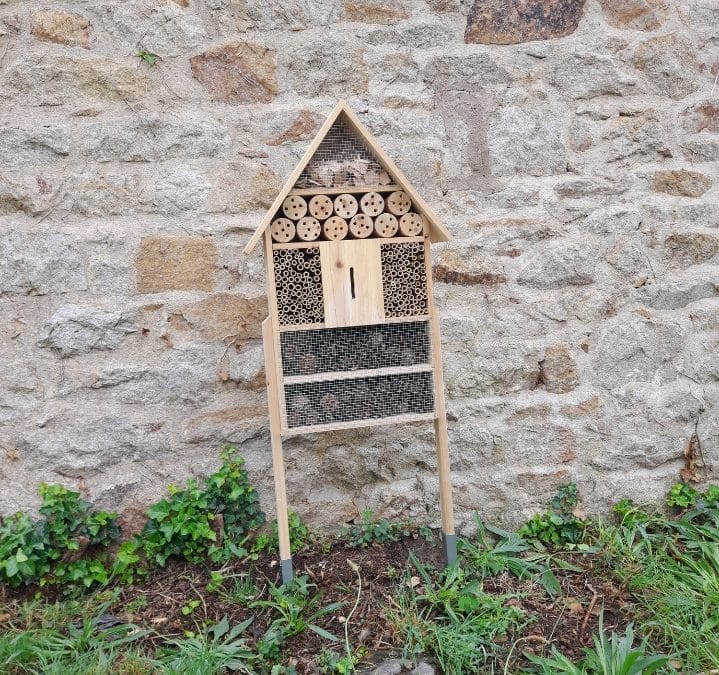 Environnement : un hôtel à insectes dans le parc du lycée